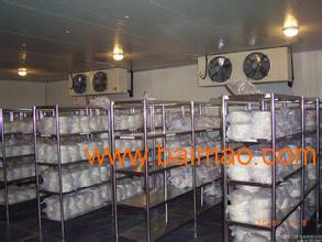 杭州食用冰塊批發(fā)與供應(yīng)全指南 價格、廠家及運輸服務(wù)解析